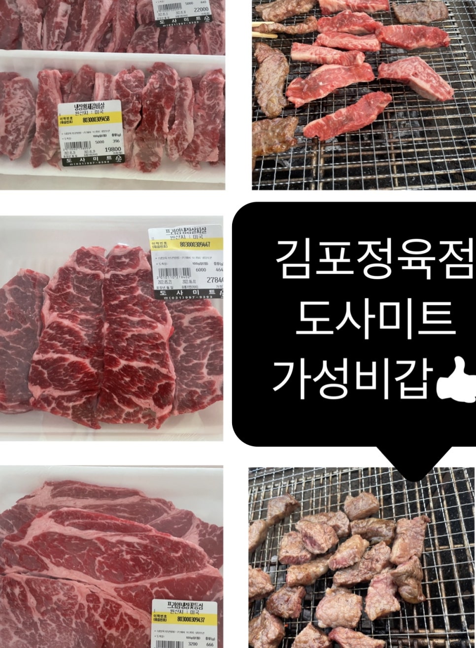 도사미트 이미지