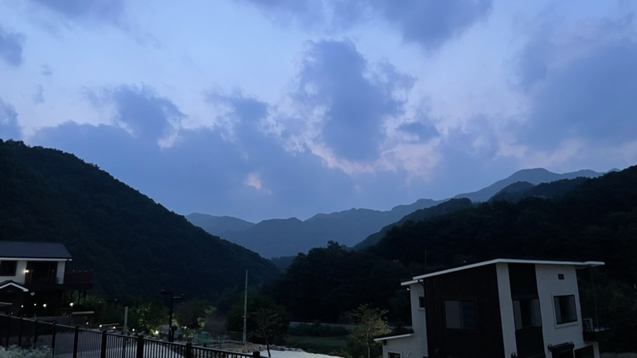 스테이브릴 이미지