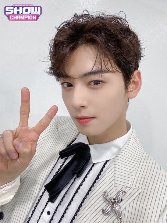 하늘꽃아스트로 이미지