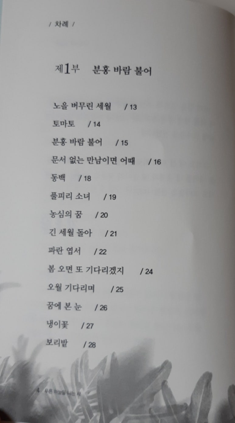 하늘교육사 이미지