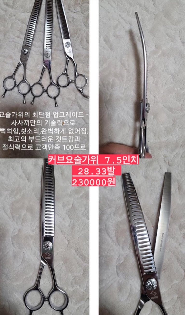 가위닥터사사끼가위 이미지