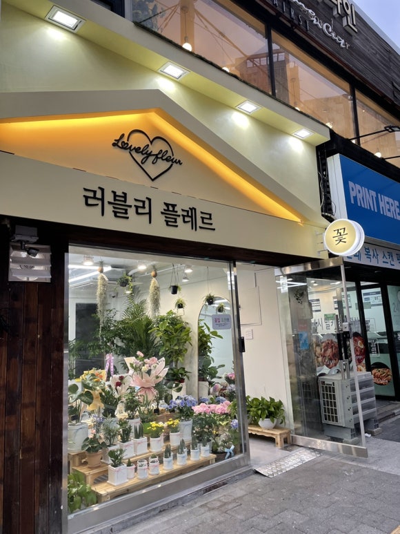 러블리플레르 이미지