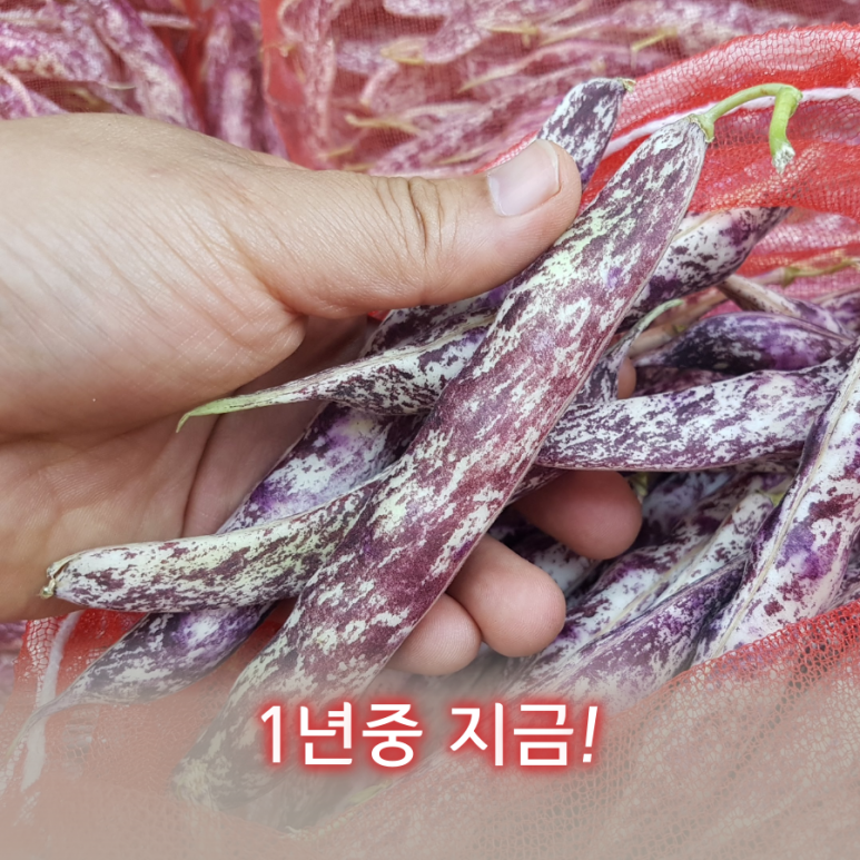 주식회사 호랑이 이미지