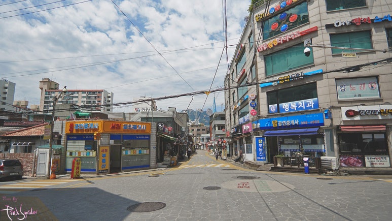 일심당 이미지
