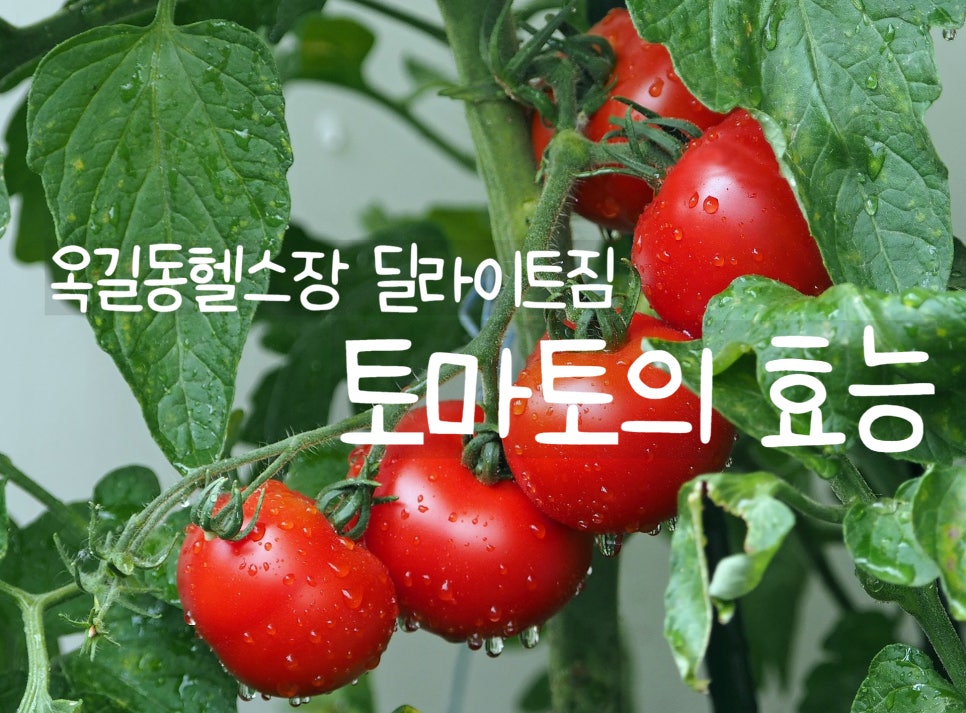 딜라이트짐 이미지