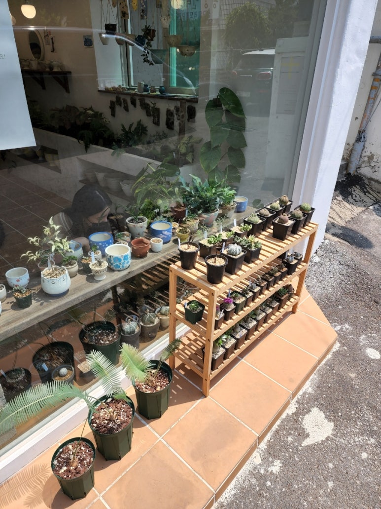 오브젝트플랜츠 이미지