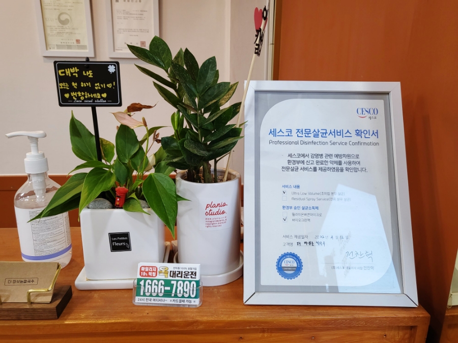 더마싯는칼국수 이미지