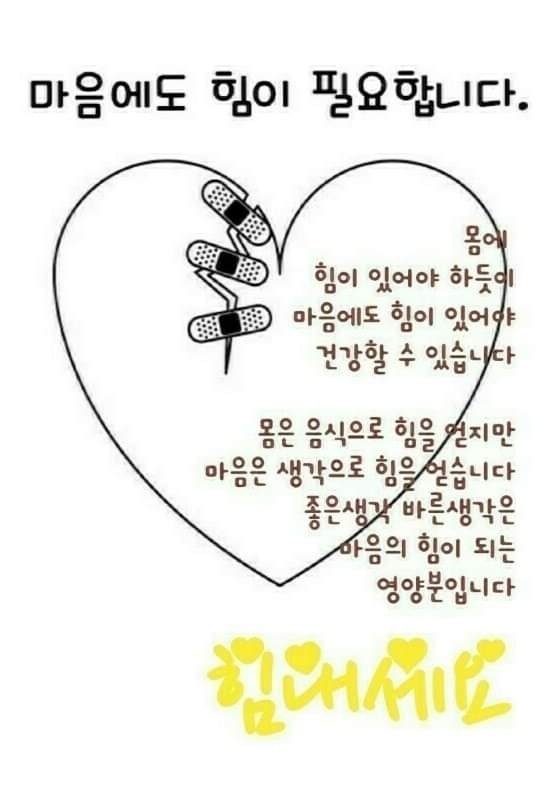 대지샾 이미지