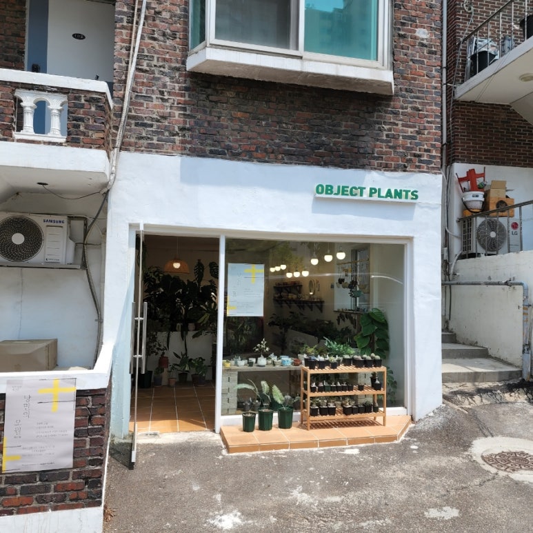 오브젝트플랜츠 이미지