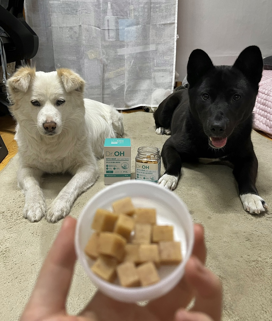오가식품 이미지