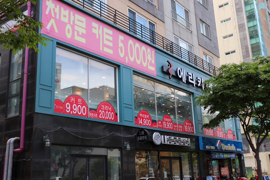 에리카헤어 노형점 이미지