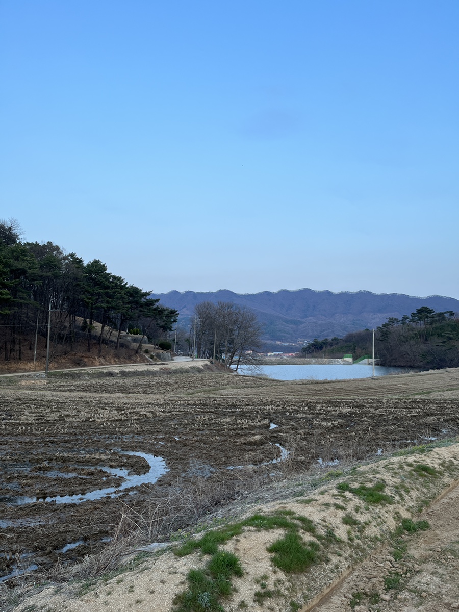 용인반딧불캠핑장 이미지