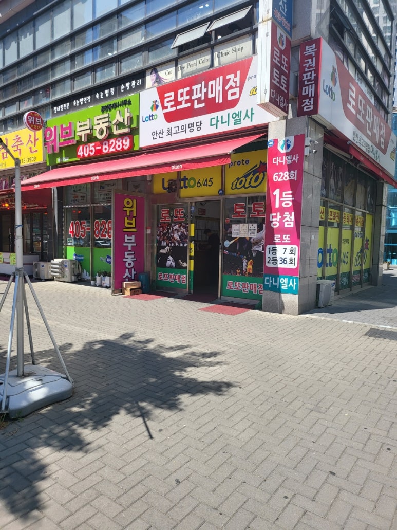 다니엘사 이미지