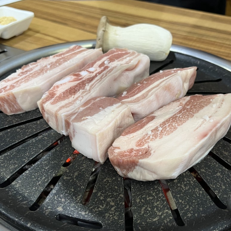 고밤도니 이미지