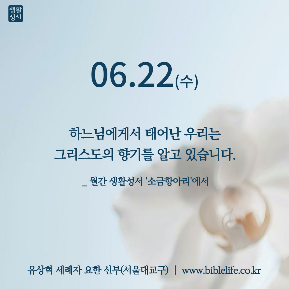 좋은사람 좋은소금 이미지