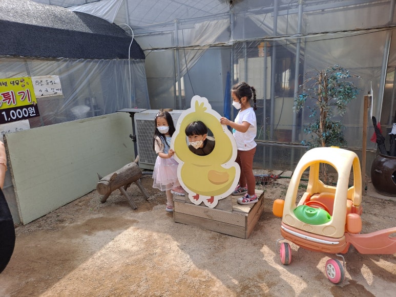 찬우물버섯농장 이미지