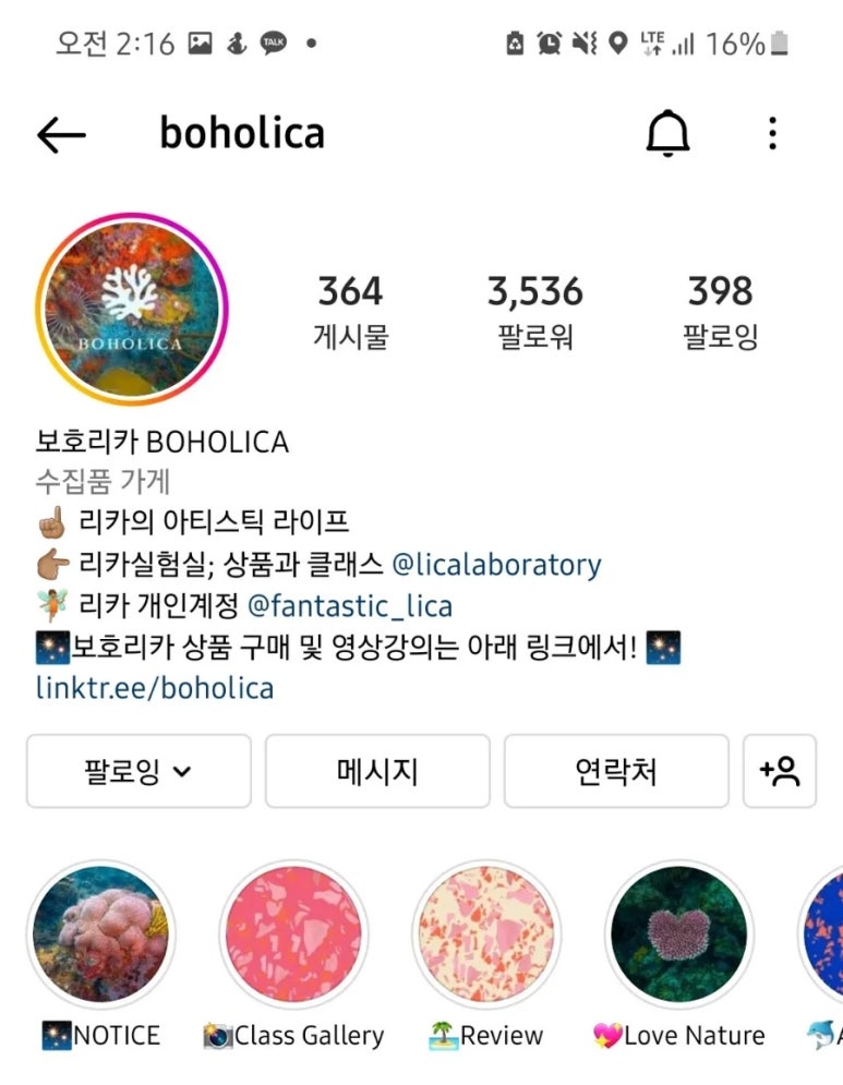 보호리카 이미지