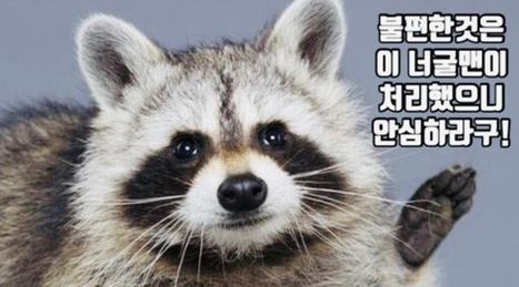 사랑의분식 이미지