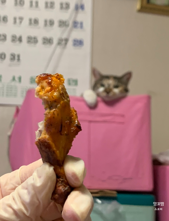 굽네치킨상계 이미지