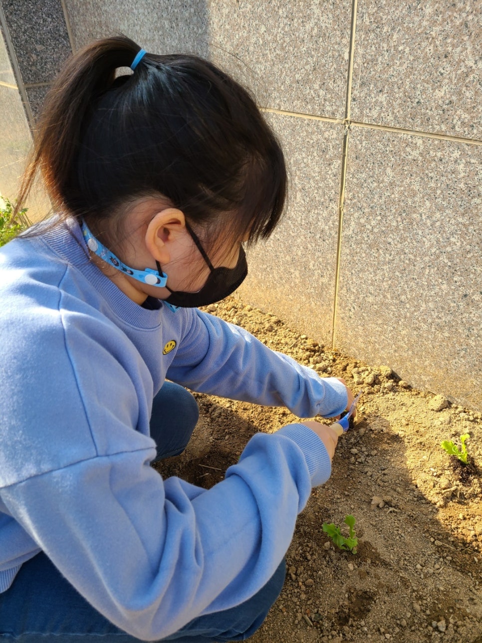 아이자람터 이미지