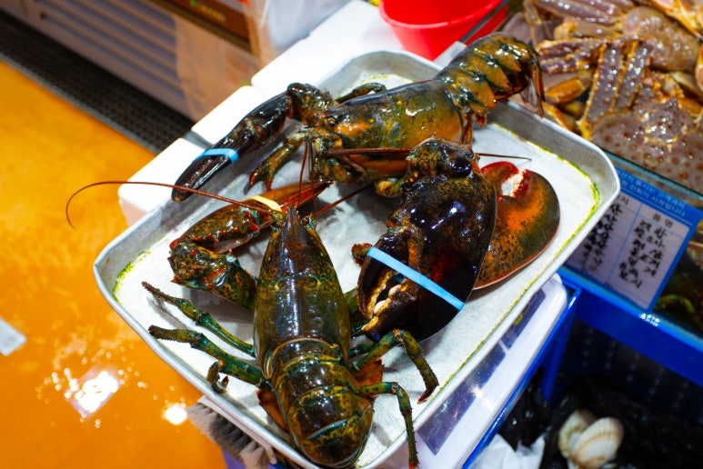 크랩수산 이미지