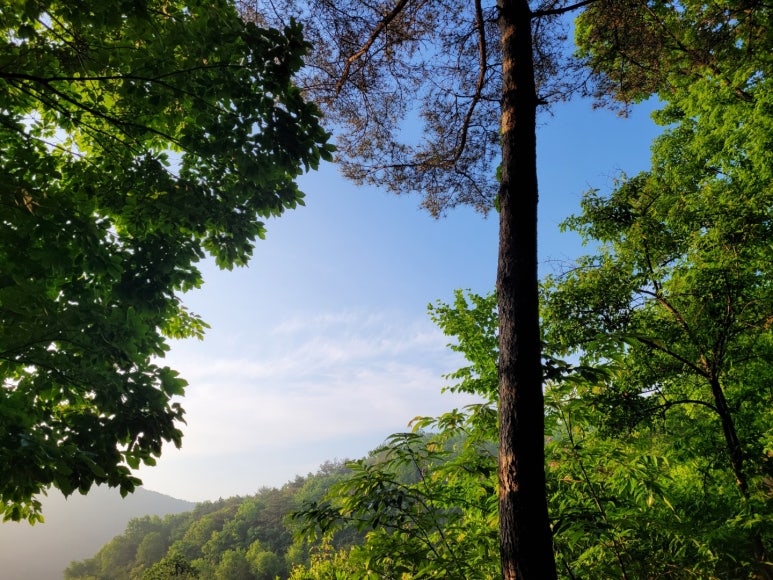 청천농산 이미지