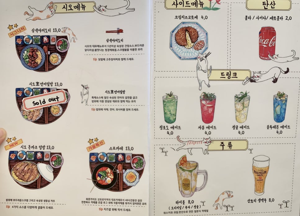 시오돈 이미지