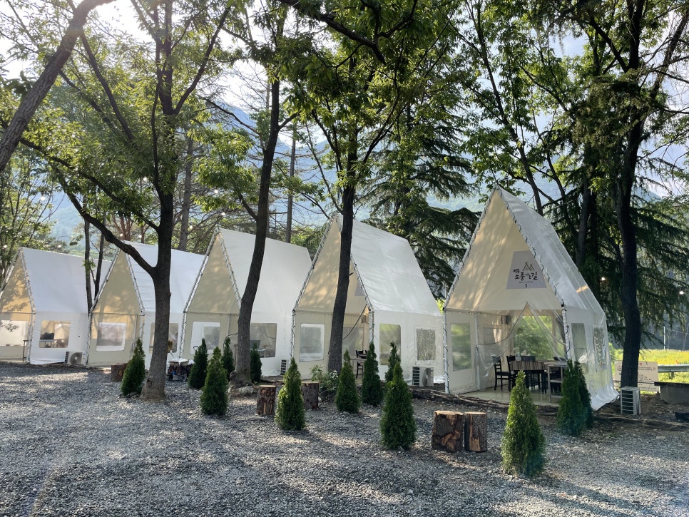 (주)백동소풍가는길 이미지