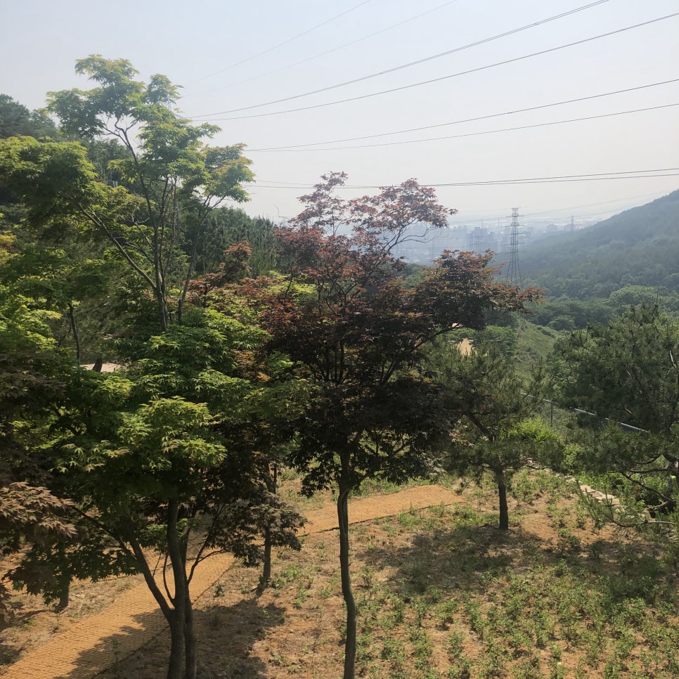 여기가명당 이미지