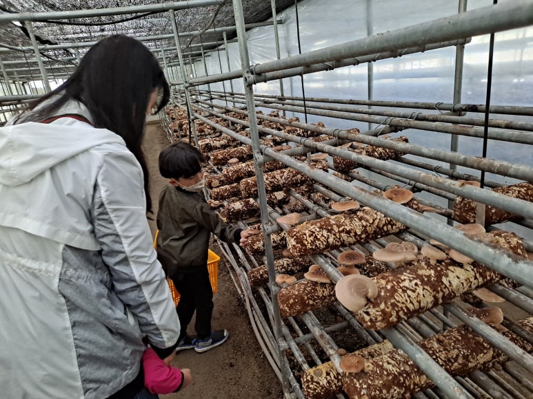 찬우물버섯농장 이미지