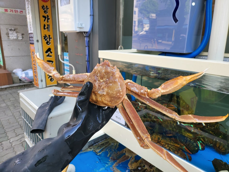 인천상회 이미지