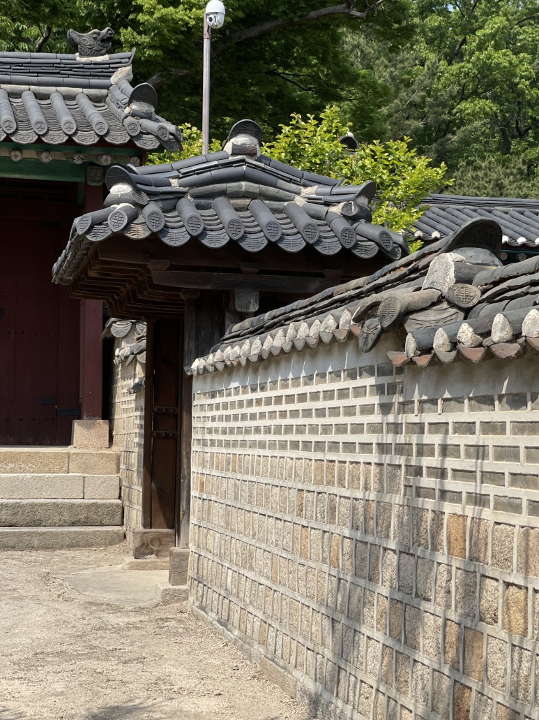 가비빈 이미지
