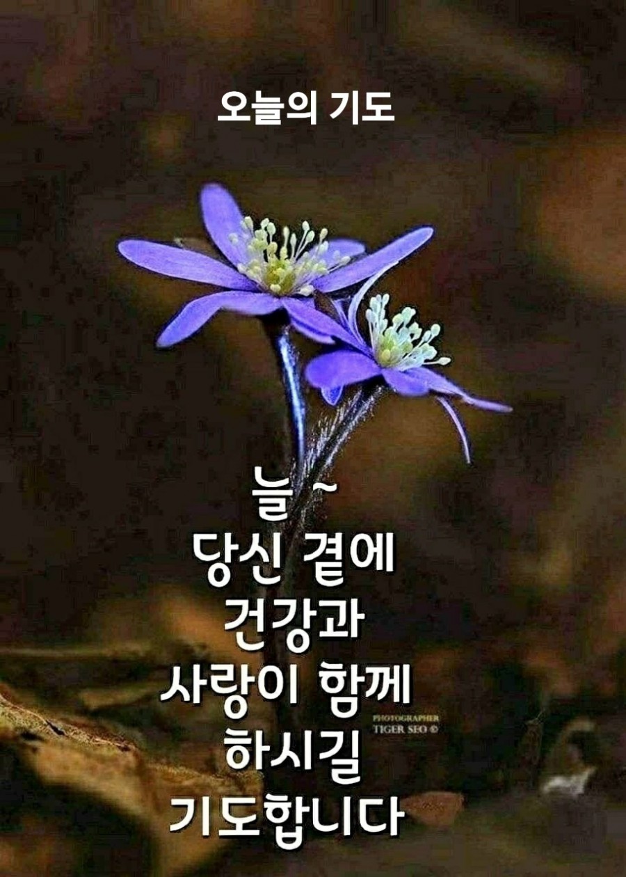 여보게 친구 이미지