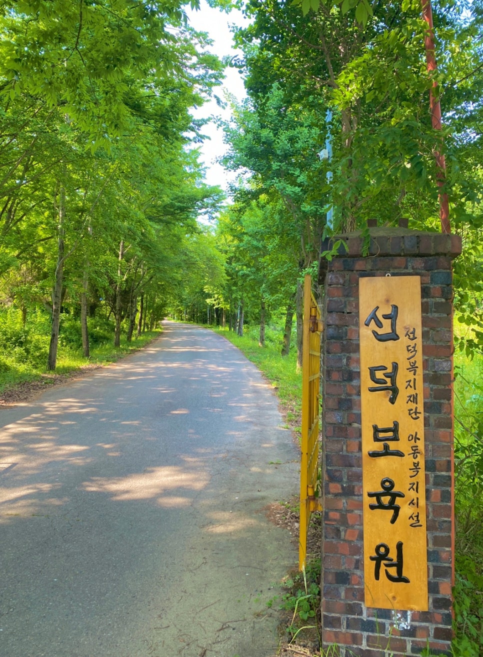 애니멀릭 이미지