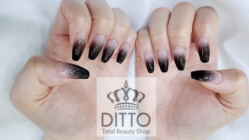 디토뷰티(Ditto beauty) 이미지