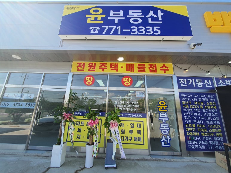 백안전기 이미지