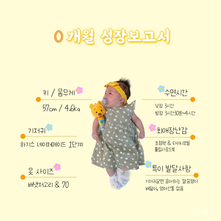 깔끔이이모 이미지