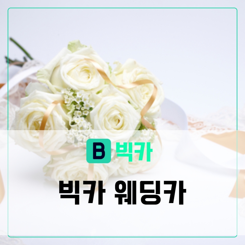 빅카 이미지