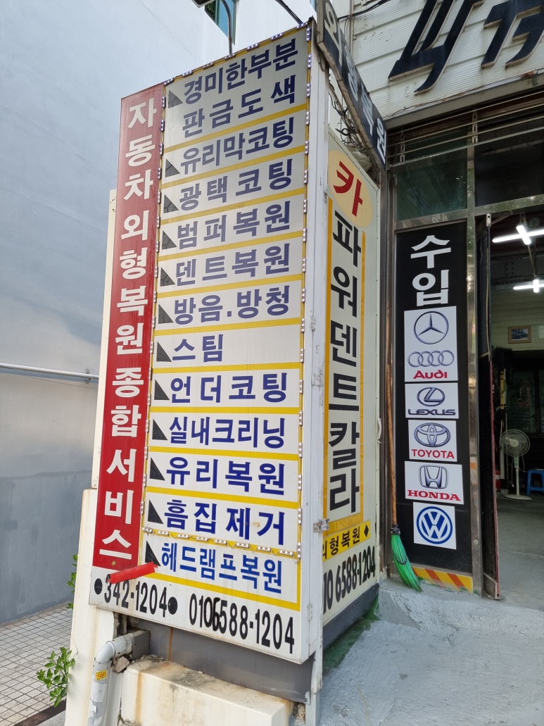 덴트칼라 이미지