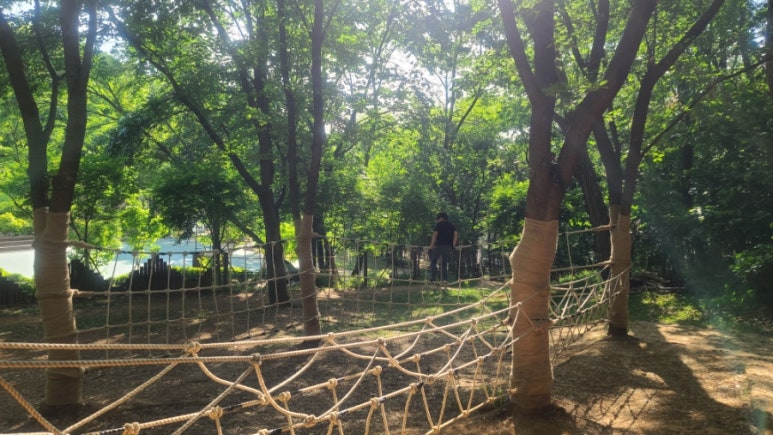 청사초롱 유아숲체험원 이미지