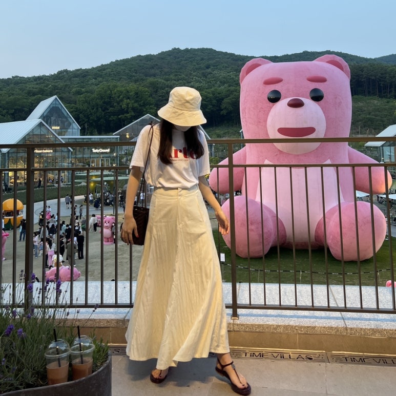 스탠다드브릿지 이미지