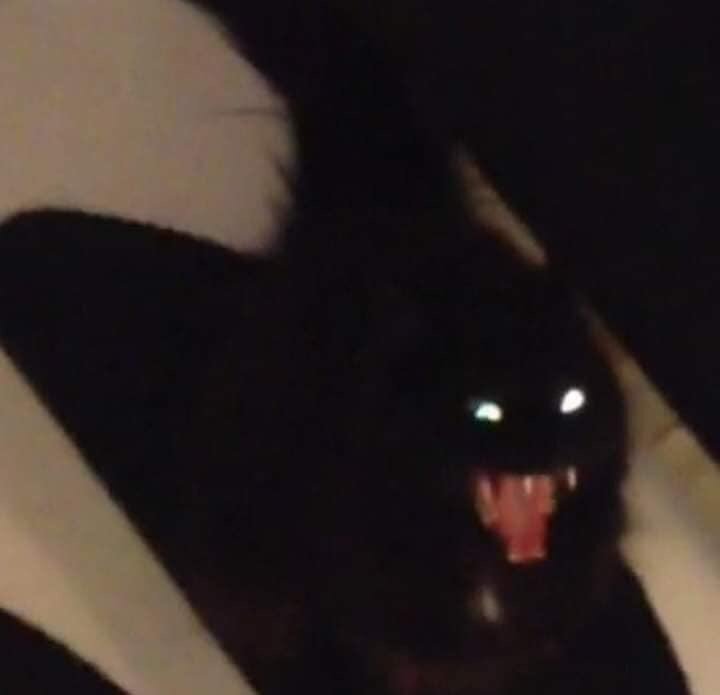 오십칠 이미지