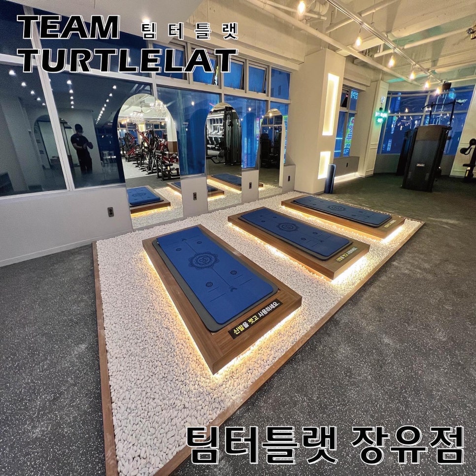 팀터틀랫김해 이미지