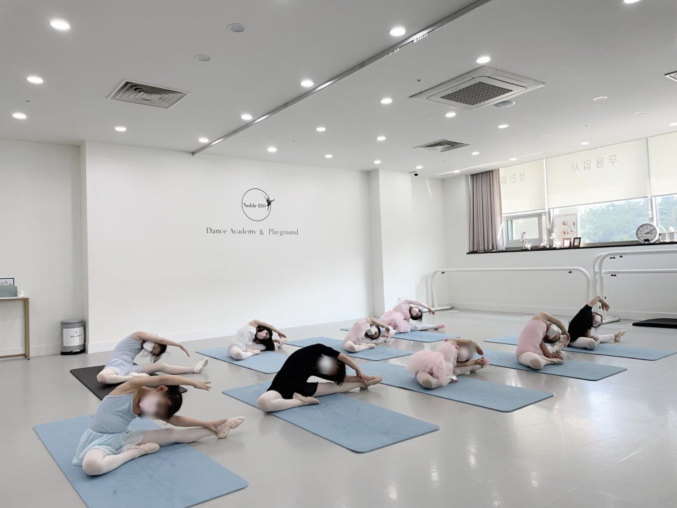 노블발레무용학원 이미지