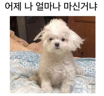 마음을 드려요 이미지