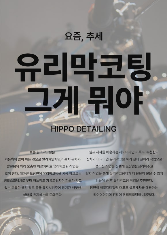 히포디테일링 이미지