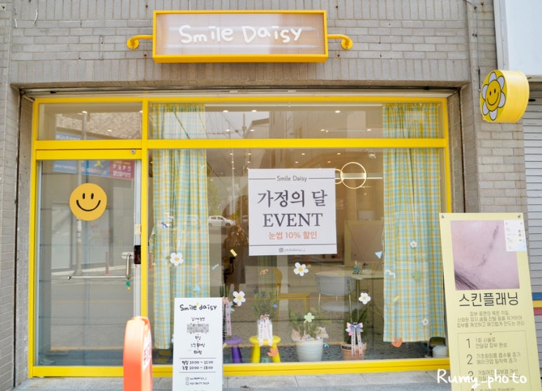 스마일데이지(Smile Daisy) 이미지