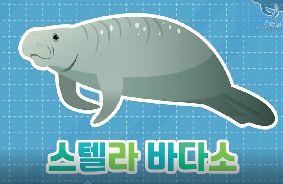 와이제이크리에이티브 이미지