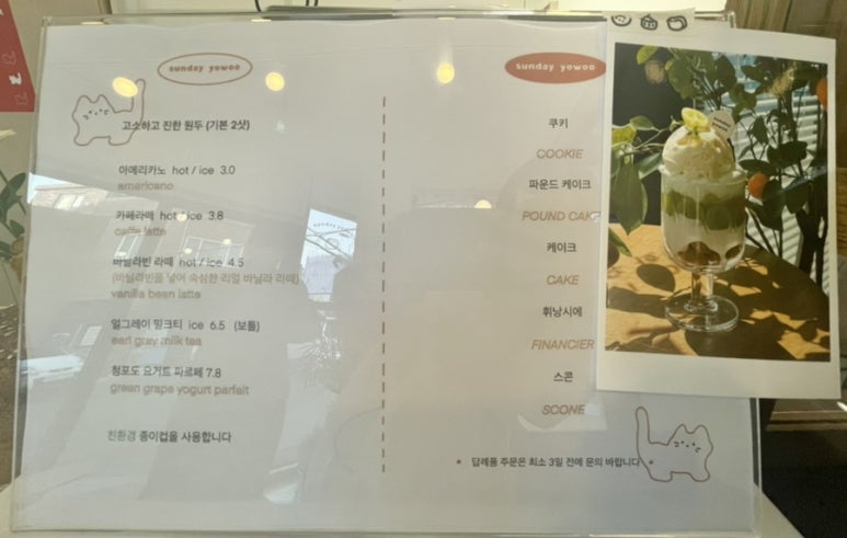 선데이요우 이미지