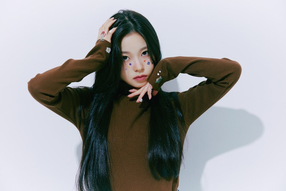 앙큼한고양이 이미지
